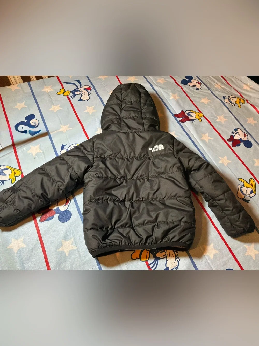 The North Face north face